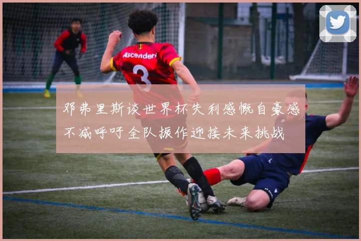 邓弗里斯谈世界杯失利感慨自豪感不减呼吁全队振作迎接未来挑战